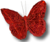 red-butterfly-isolated-60